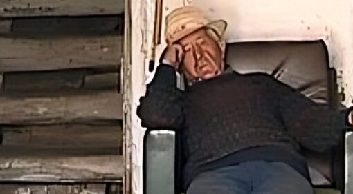 Se puede contemplar a un anciano de pueblo sentado en un sillón de cuero verde, con su bastón apoyado y la cabeza descansando sobre la mano, en el interior de lo que aparenta ser su hogar.