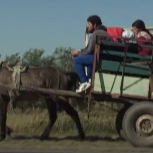 Una familia migrando con un carro tirado por un caballo.
