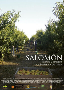 Salomón. Cartel del corto. Se ve una escena de recogida de fruta, una plantación. Es un día de verano, soleado y el cielo es azul. Se ve una escalera de mano al fondo.