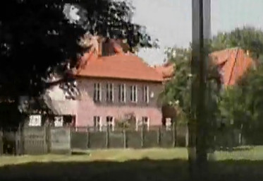 una serie de casas rosadas al fondo con un arbol frondoso