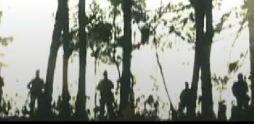 Siluetas de soldados caminando entre árboles en un bosque, iluminados desde el fondo por una luz blanca intensa que crea una atmósfera dramática.