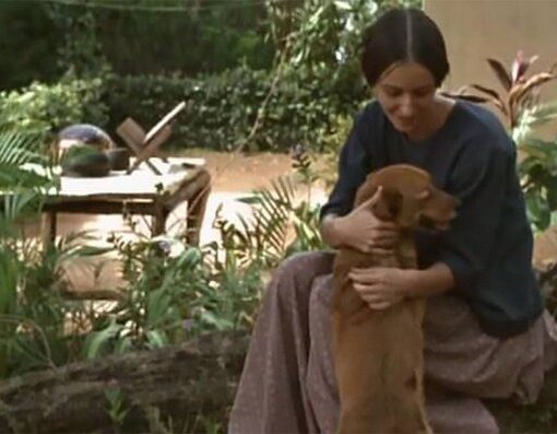 Una mujer sentada en un jardín abraza a un pequeño perro marrón.