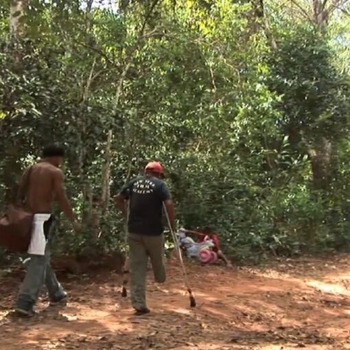 Dos hombres caminan por un sendero selvático; uno está sin camisa y el otro usa muletas. Al fondo, una bicicleta infantil rosa yace entre los arbustos.