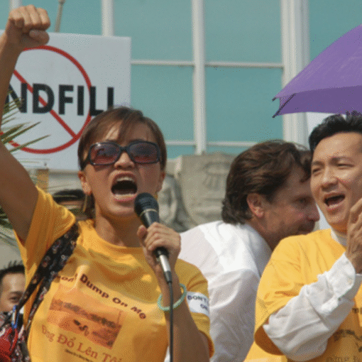 El barrio de Versailles, situado en el este de Nueva Orleans, se convirtió en hogar de refugiados vietnamitas a finales de los años setenta. Tras huir de la guerra, muchas familias comenzaron allí una nueva vida; además, iniciaron un proceso de reconstrucción personal y colectiva.