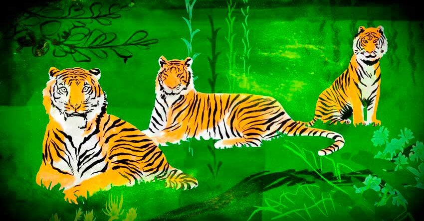 Imagen en la que aparecen tres tigres dibujados sobre un fondo verde con motivos vegetales.