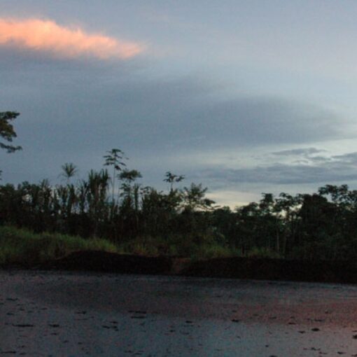 Fotograma de la película. Muestra dos chimeneas de consumo de petróleo en medio de la amazonia ecuatoriana.
