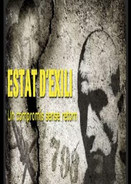 Cartel de la película "Estado de exhilio" donde se aprecia un rostro serio grabado en la superficie.