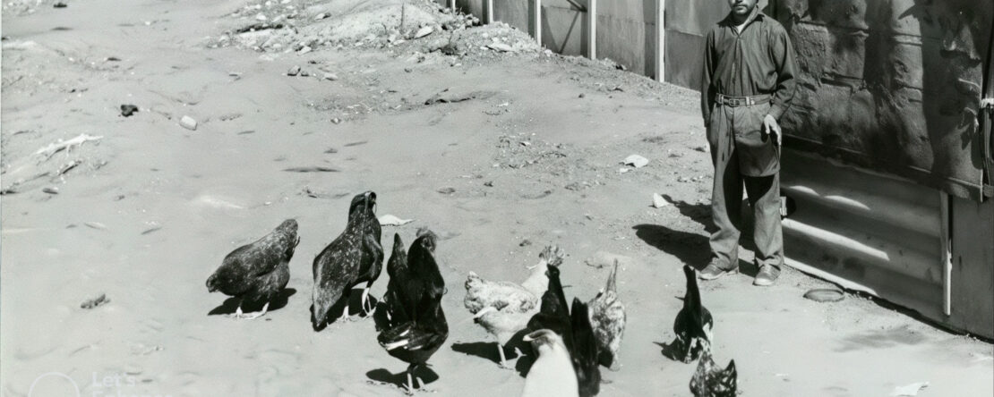 Imagen en blanco y negro de un niño dando de comer a las gallinas en un campo de tierra.