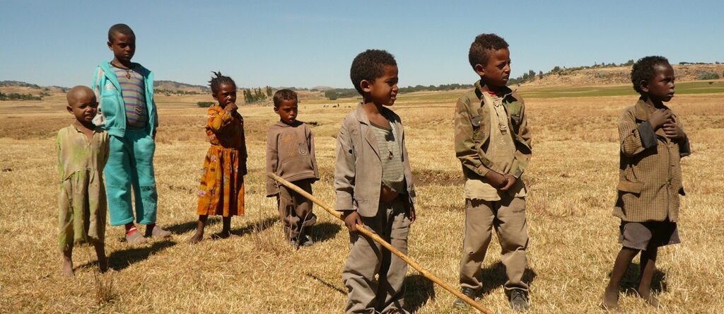 Seis niños de pie en un campo seco y cubierto de hierba bajo un cielo azul claro. Un niño sostiene un palo largo