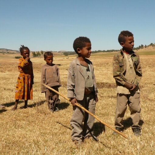 Seis niños de pie en un campo seco y cubierto de hierba bajo un cielo azul claro. Un niño sostiene un palo largo