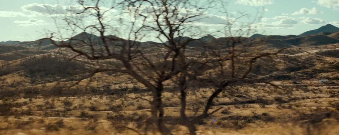 Paisaje árido y montañoso, con árboles secos en primer plano y colinas extensas al fondo.