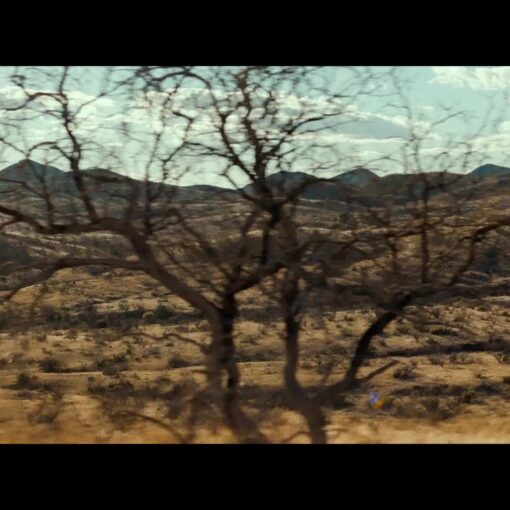 Paisaje árido y montañoso, con árboles secos en primer plano y colinas extensas al fondo.