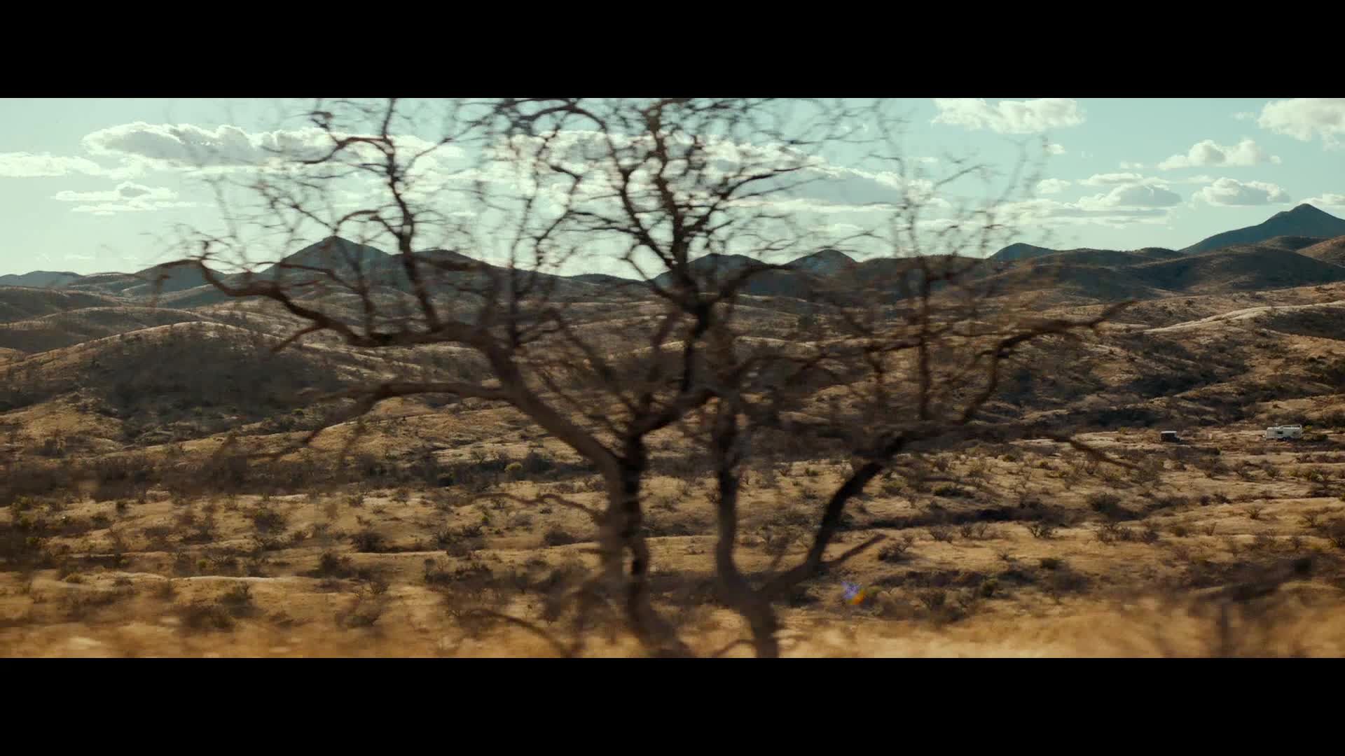 Paisaje árido y montañoso, con árboles secos en primer plano y colinas extensas al fondo.