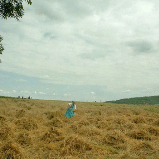 Fotograma de Quién está ahí en el que aparece un paisaje de un campo de cereal. En el centro de la imagen, a lo lejos, hay una mujer vestida de azul trabajando.