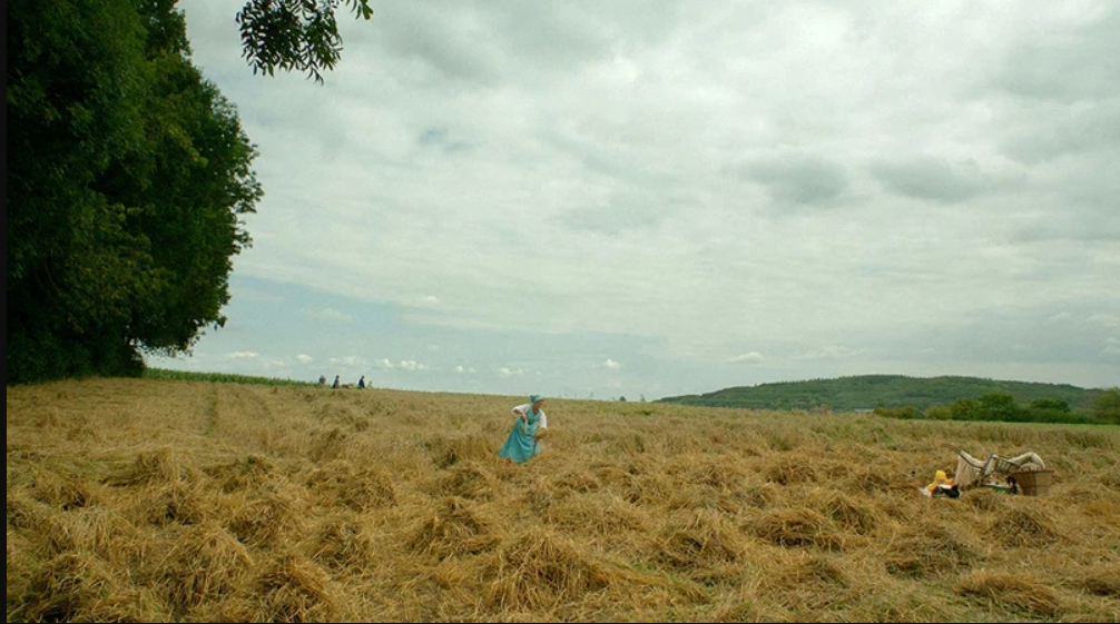 Fotograma de Quién está ahí en el que aparece un paisaje de un campo de cereal. En el centro de la imagen, a lo lejos, hay una mujer vestida de azul trabajando.