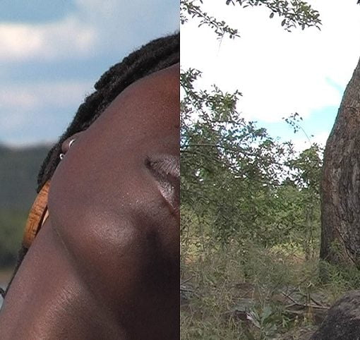 Tanyaradzwa