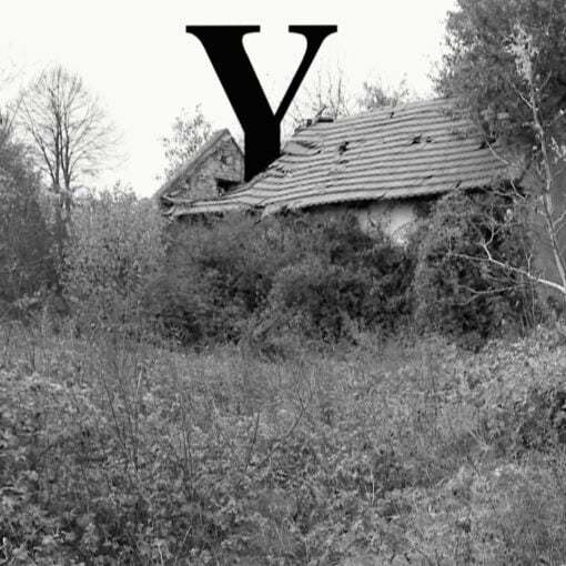 Film Y