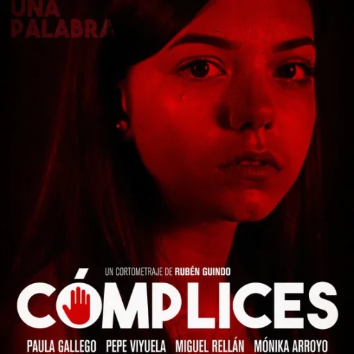 portada del film complices
