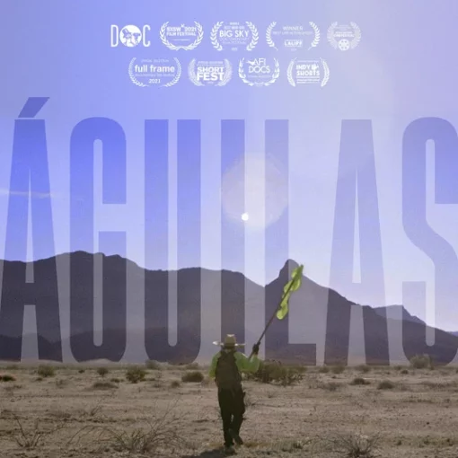 Portada del documental aguilas