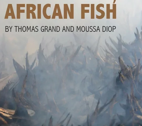 Portada del documental Pez de oro, pez africano