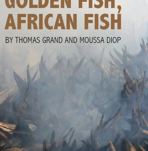 Portada del documental Pez de oro, pez africano