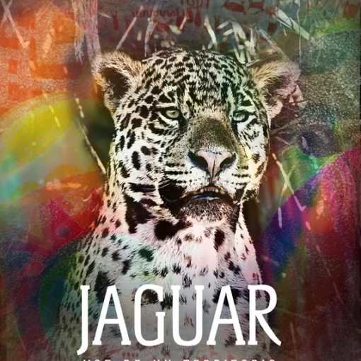 Portada del documental jaguar voz de un territorio