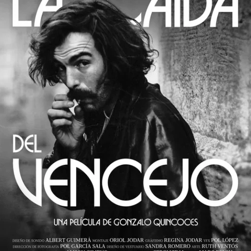 portada del film La caída del vencejo