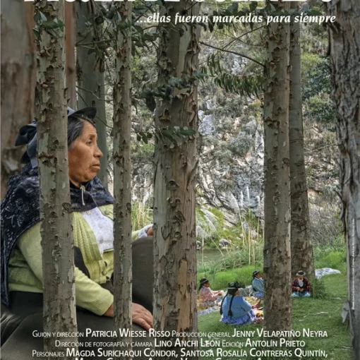 portada del film Mujer de Soldado