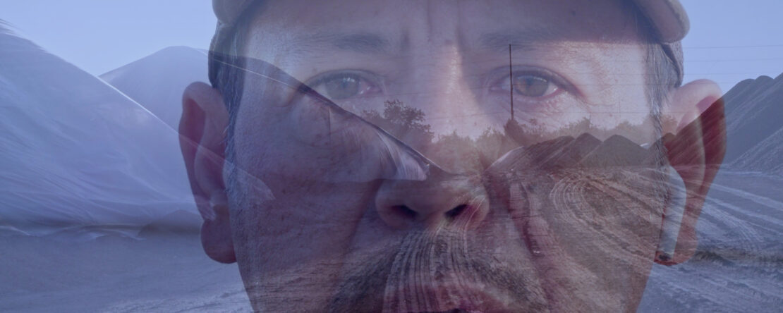 Experiments in Freedom