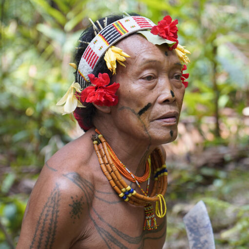 Mentawai - Almas del Bosque