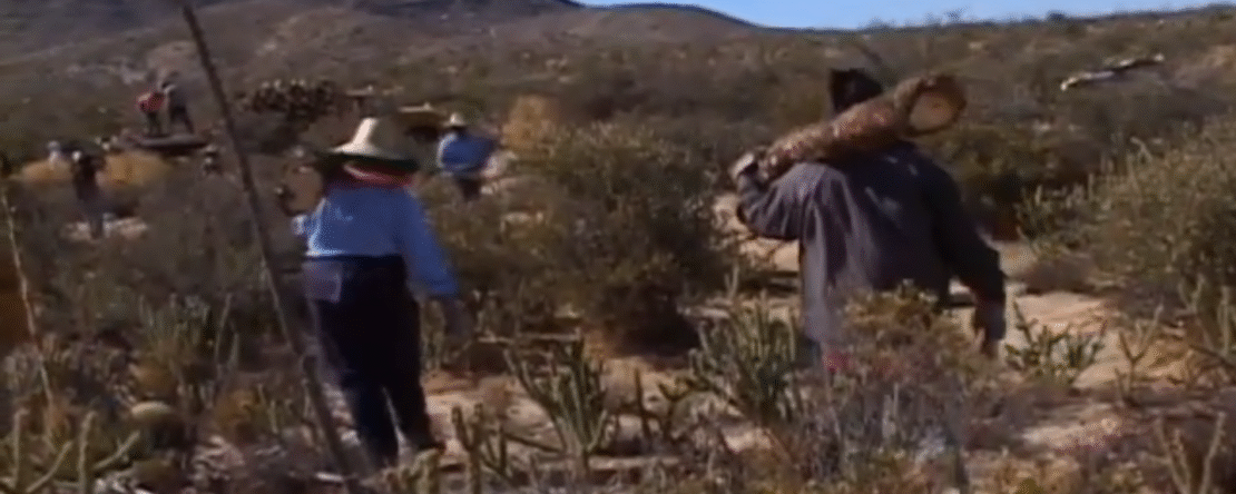 Grupo de personas caminando por un paisaje desértico transportando troncos de madera sobre los hombros.