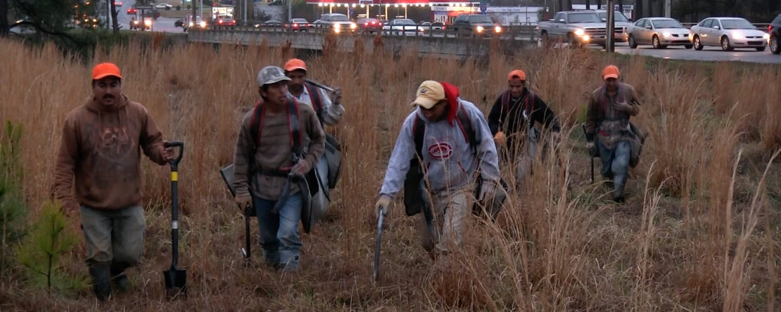 Un grupo de personas vestidas con ropa de trabajo y gorras de color naranja, caminando a través de un campo de hierba seca. Uno de ellos lleva una pala. Se aprecian coches y luces de edificios al fondo.