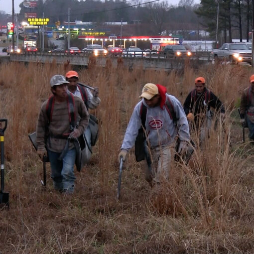 Un grupo de personas vestidas con ropa de trabajo y gorras de color naranja, caminando a través de un campo de hierba seca. Uno de ellos lleva una pala. Se aprecian coches y luces de edificios al fondo.
