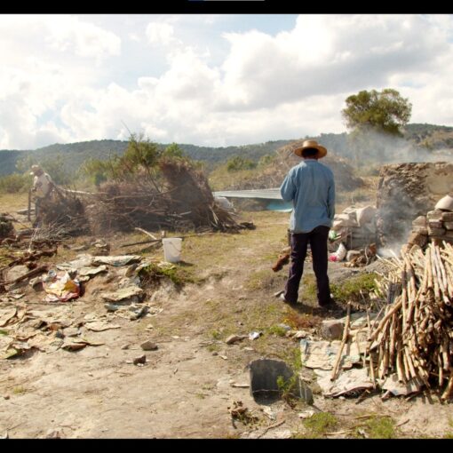 Un hombre con sombrero y camisa azul de espaldas, observando un paisaje campestre con estructuras rústicas y montones de leña. Se aprecian columnas de humo.
