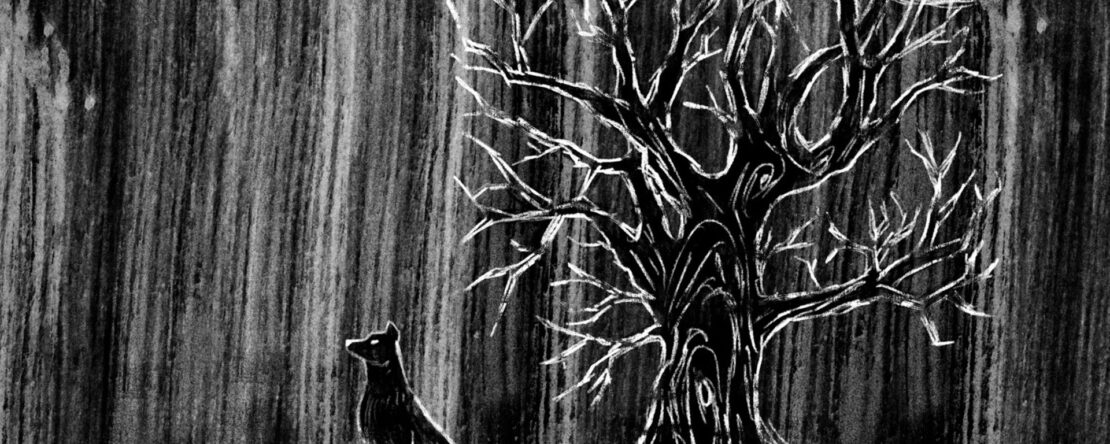 Un perro negro se sienta bajo un árbol sin hojas. La escena en blanco y negro evoca un ambiente misterioso y boscoso.