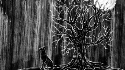 Un perro negro se sienta bajo un árbol sin hojas. La escena en blanco y negro evoca un ambiente misterioso y boscoso.