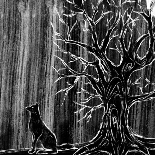 Un perro negro se sienta bajo un árbol sin hojas. La escena en blanco y negro evoca un ambiente misterioso y boscoso.