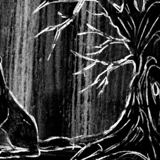 Un perro negro se sienta bajo un árbol sin hojas. La escena en blanco y negro evoca un ambiente misterioso y boscoso.