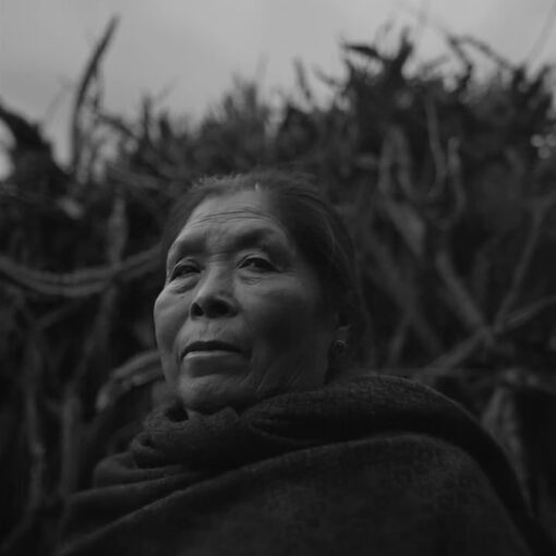 Fotograma en blanco y negro del cortometraje La voz del rayo. Una mujer zapoteca, de rostro sereno y envuelta en un rebozo oscuro, mira al horizonte. A su espalda se distinguen ramas gruesas, que refuerzan la conexión entre su figura y el entorno natural.