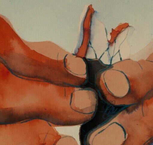 Fotograma de Percebes, Corto de animación en el que dos manos dibujadas salen limpiando un percebe.
