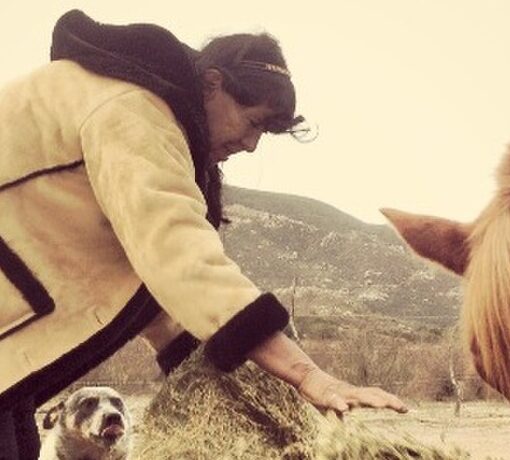 Persona alimentando a un caballo con un fardo de heno, acompañada por un perro en un paisaje rural montañoso.