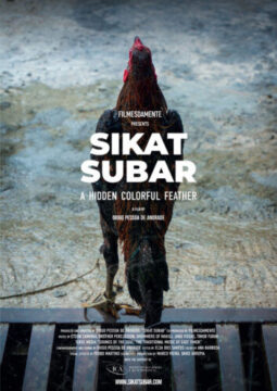 Cartel del documental Sikat Subar – A Hidden Colorful Feather. En el centro de la imagen, un gallo aparece de espaldas caminando sobre un suelo mojado, con las plumas húmedas y oscuras. El título en letras grandes blancas ocupa la parte central del cartel. La composición transmite fuerza y simbolismo, en referencia a la identidad y cultura de Timor-Leste.