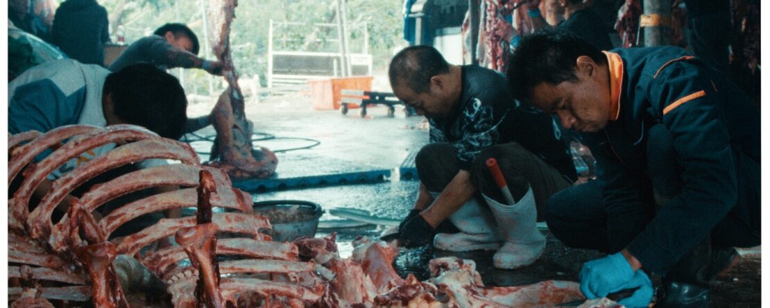 Fotograma de Cuando ruge el tigre en el que aparece varios hombres agachados que manipulan los huesos ensangrentados de un animal de gran tamaño.