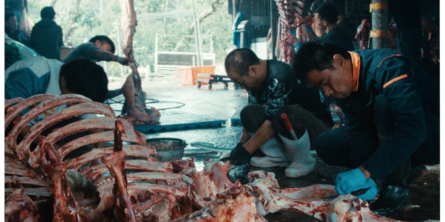Fotograma de Cuando ruge el tigre en el que aparece varios hombres agachados que manipulan los huesos ensangrentados de un animal de gran tamaño.