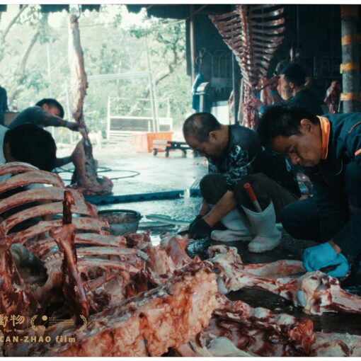 Fotograma de Cuando ruge el tigre en el que aparece varios hombres agachados que manipulan los huesos ensangrentados de un animal de gran tamaño.