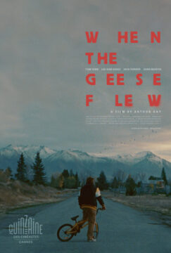 Cartel de la película Cuando volaron los gansos con un joven caminando por una carretera junto a una bicicleta, con montañas al fondo.